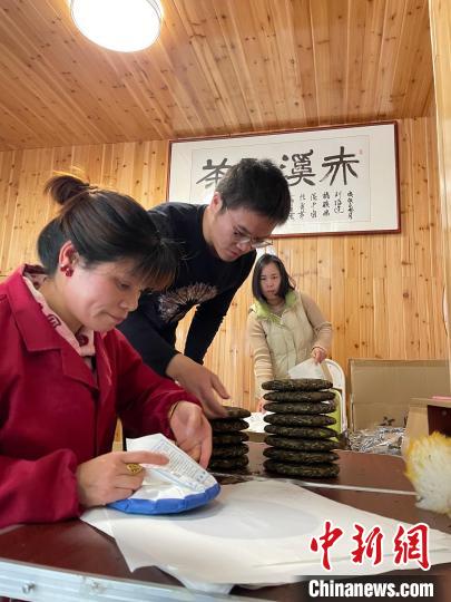 資料圖：杜贏(左二)在整理白茶餅?！×执阂?攝