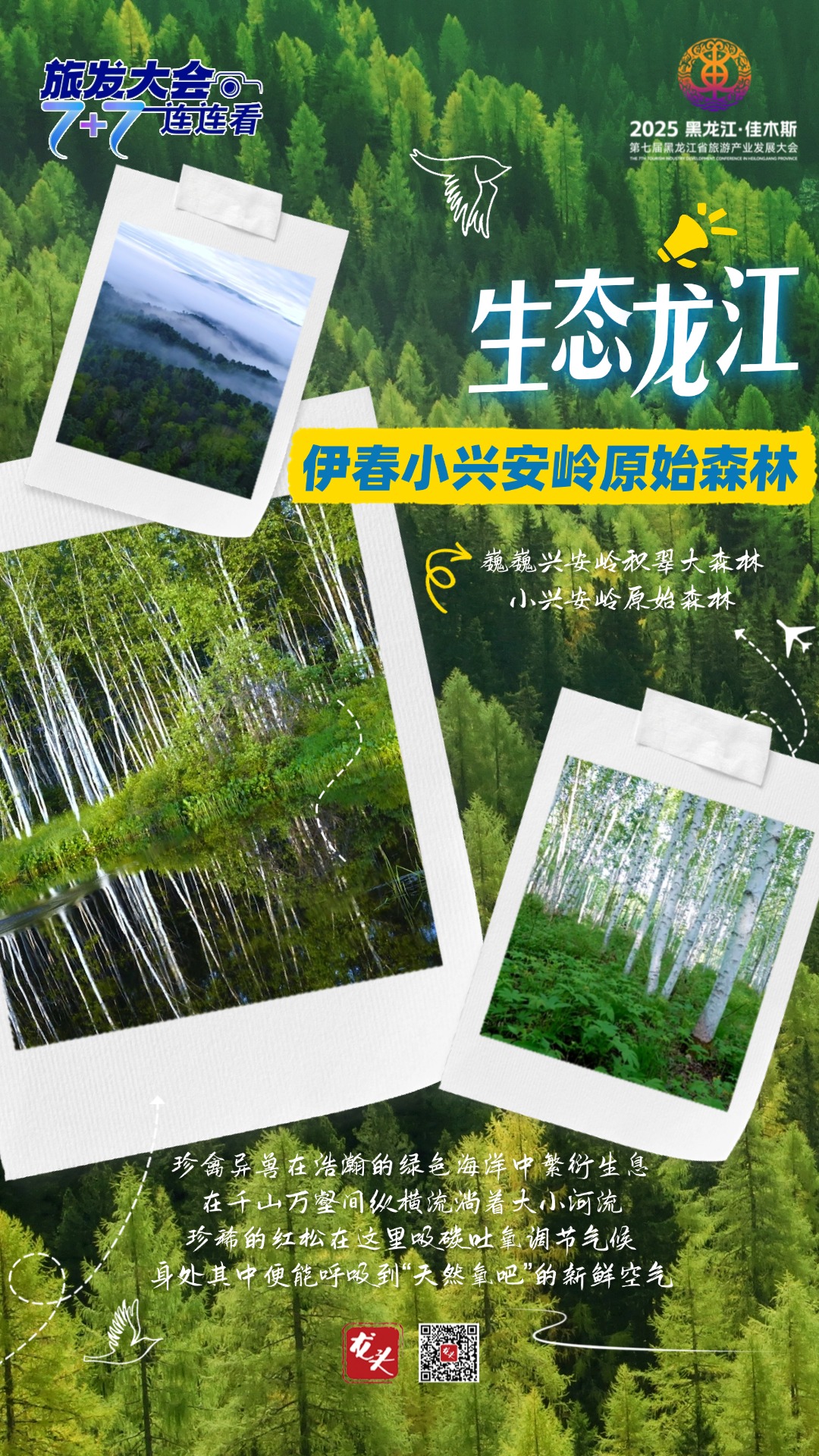 稿定設(shè)計(jì)-3.jpg